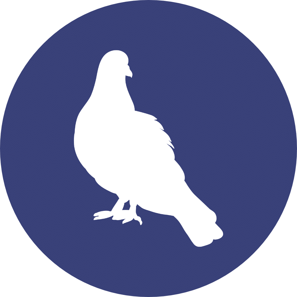 domestic wash dishes