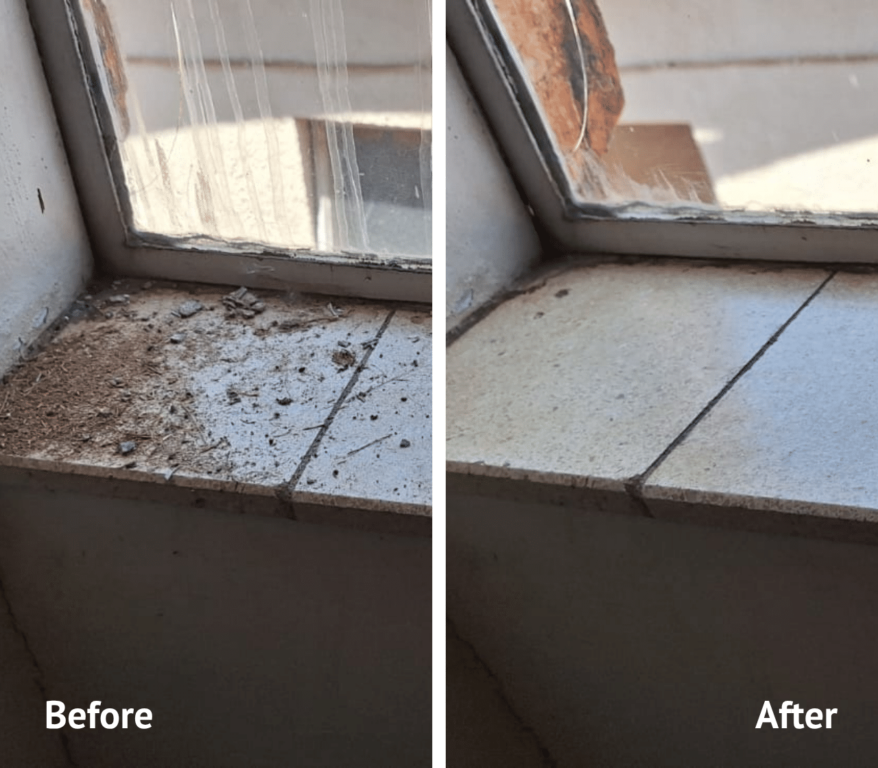 Skitterblink Montana - Domestic Cleaning Before & After