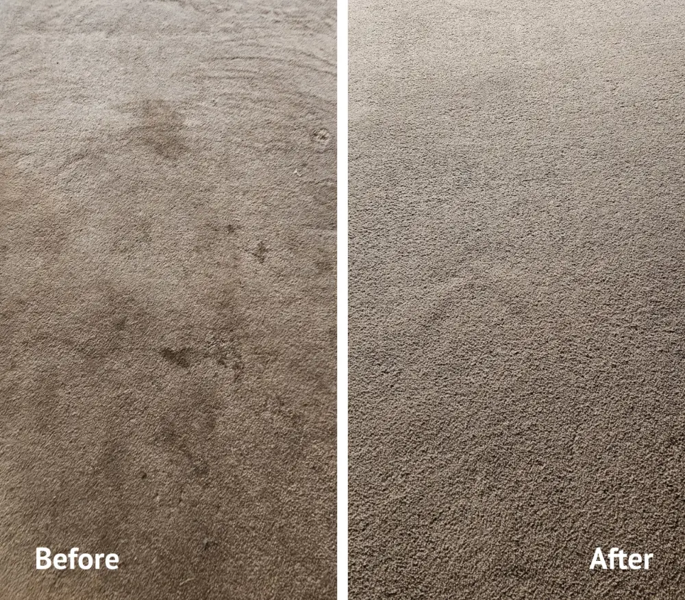 Skitterblink-Montana-Carpet-Cleaning-Before-After-1a