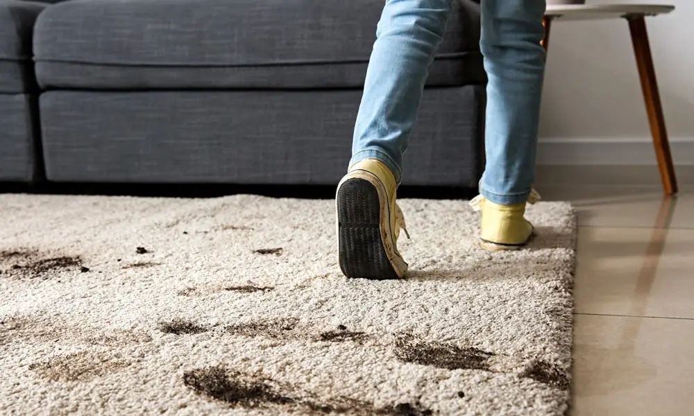 Skitterblink-Montana-Carpet-Cleaning-Cleaning feature