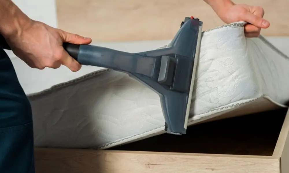 Skitterblink Montana Mattress Cleaning South Africa