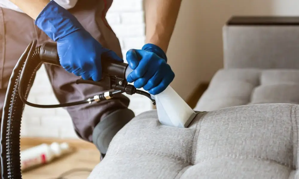 Upholstery Cleaning South africa feature