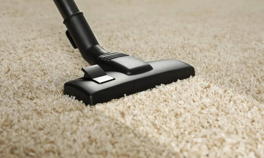 carpet cleaning service montana south africa