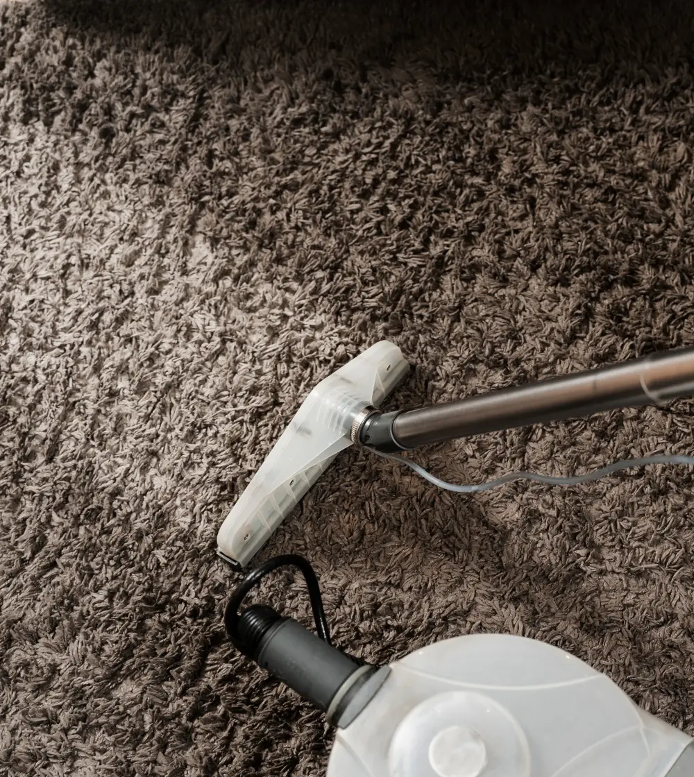 professional rug clean montana
