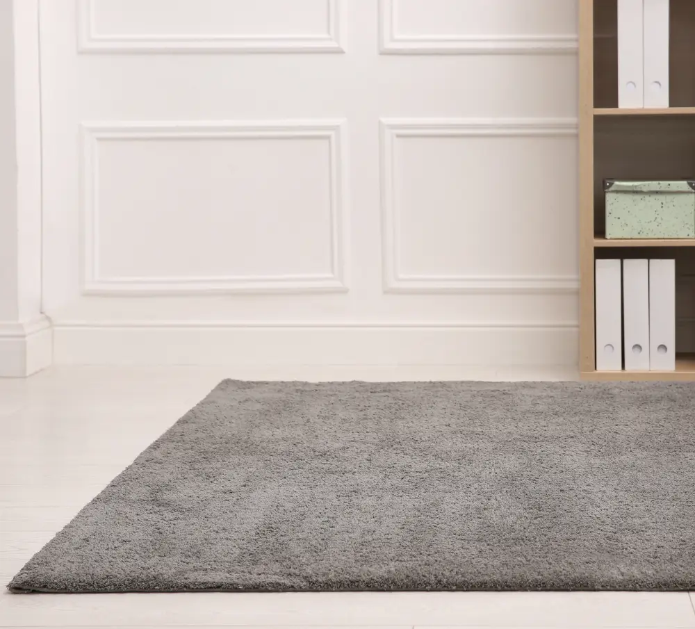 rug cleaning home and business