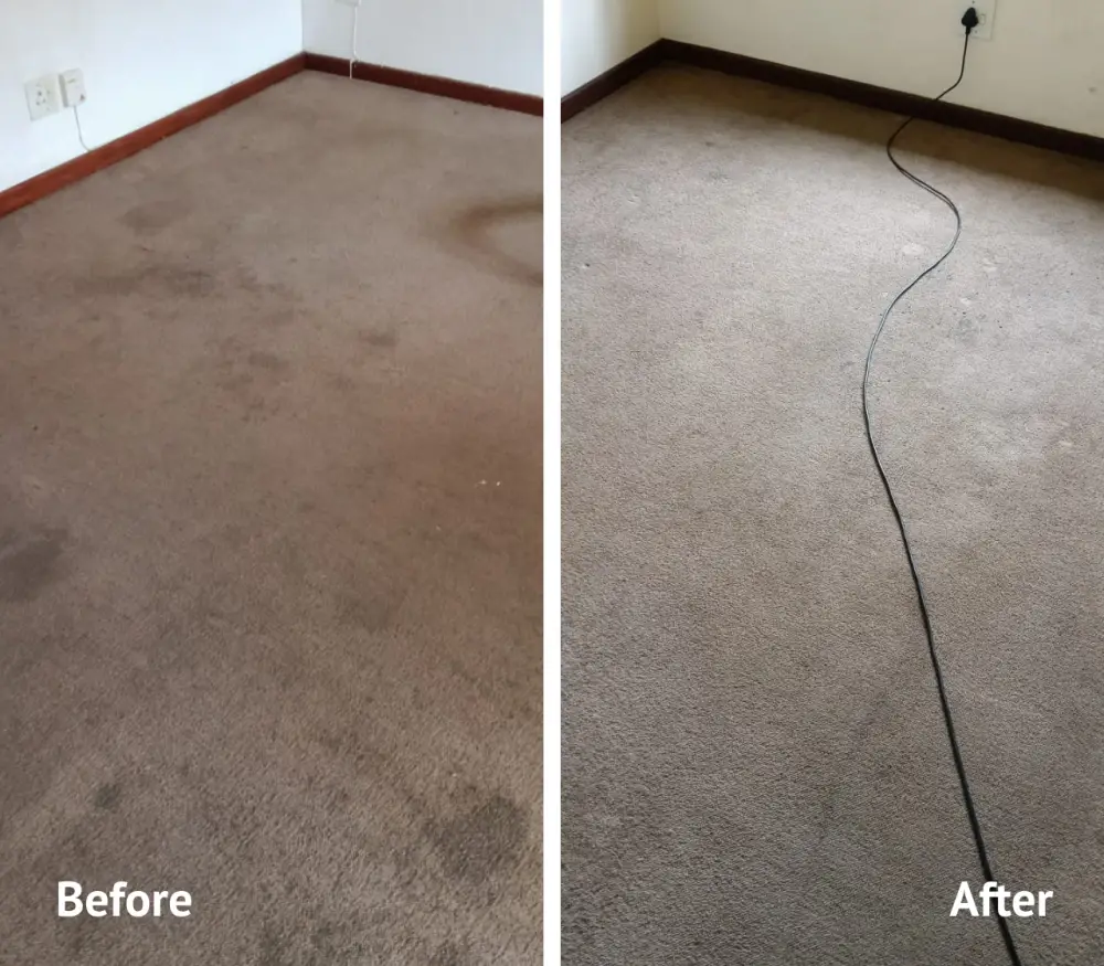 Skitterblink Montana - Carpet Cleaning Before & After 2