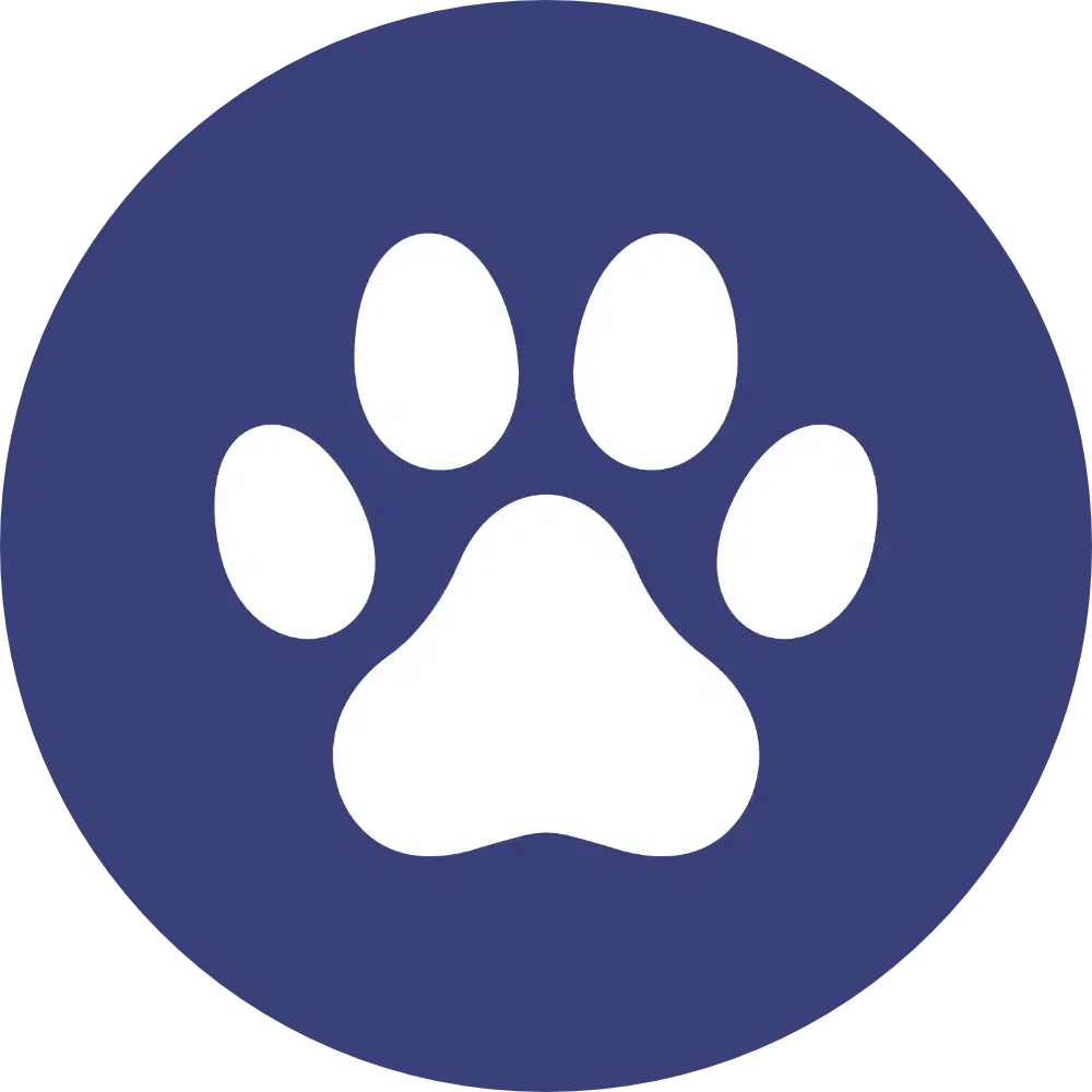 Northcliff Hoarder Cleaning