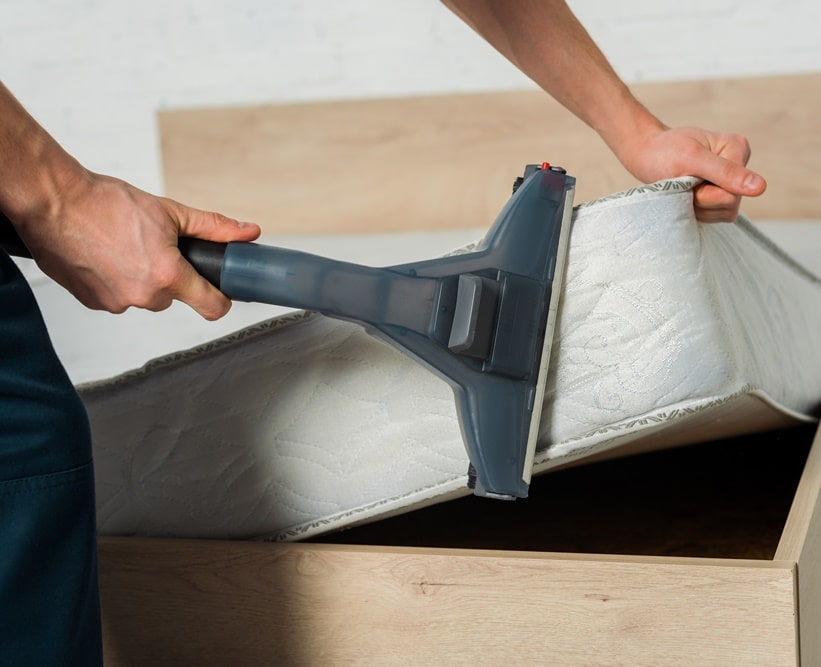 domestic once off cleaning