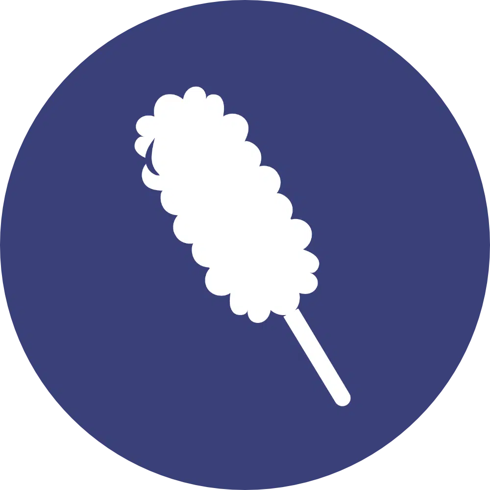 domestic polish