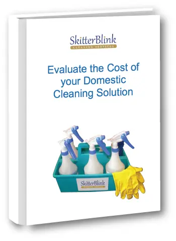 domestic cleaning service