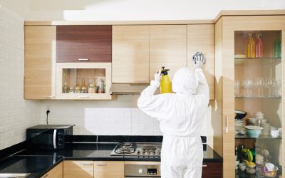 Cleaning tips: Where to focus your cleaning efforts during the COVID-19 pandemic