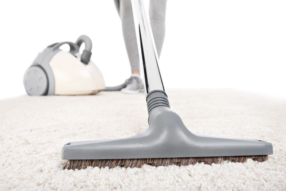 Skitterblink’s Carpet, Upholstery & Mattress Cleaning Services