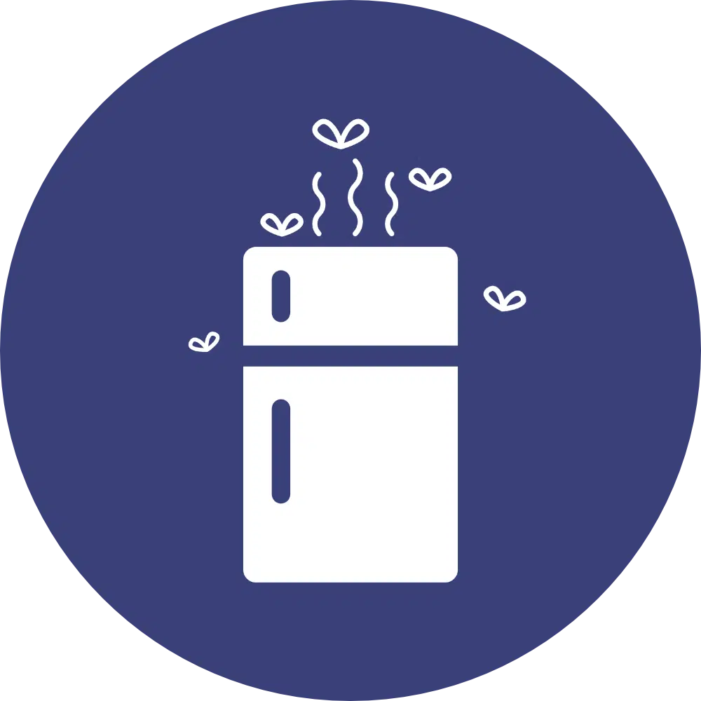 Fridge Rot Cleaning