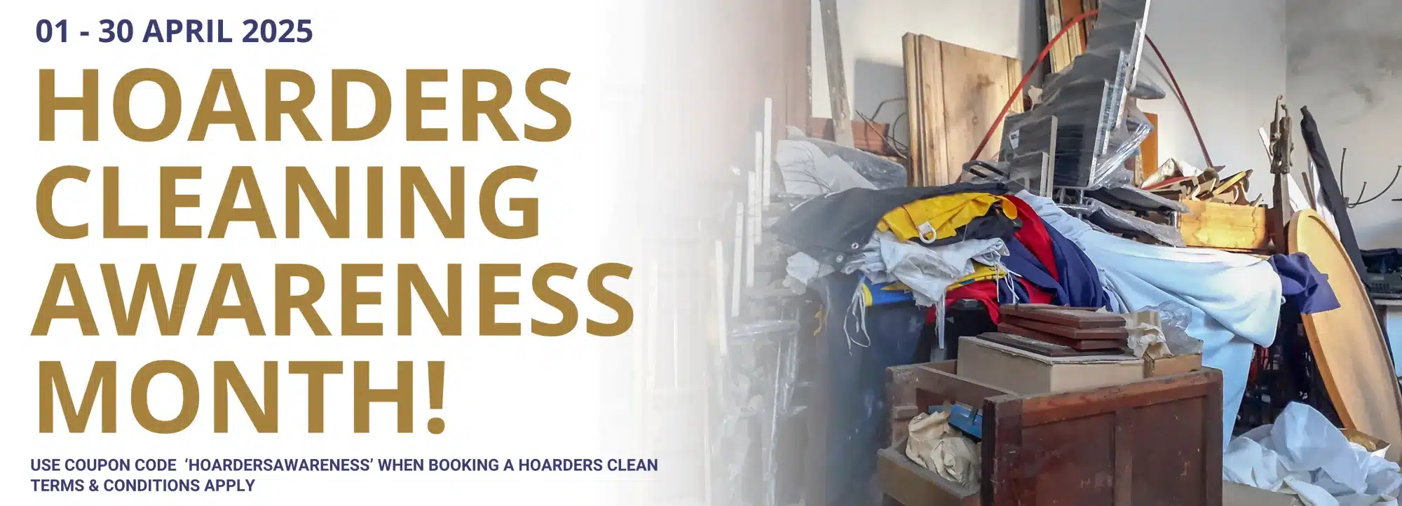 Skitterblink Emergency Cleaning Promo