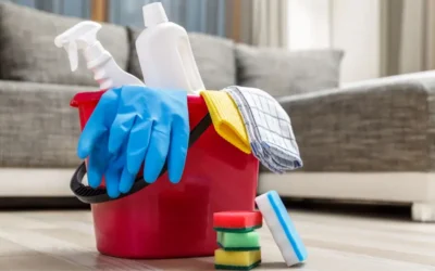 A Homeowner’s Guide to Domestic Cleaning Services in Gauteng